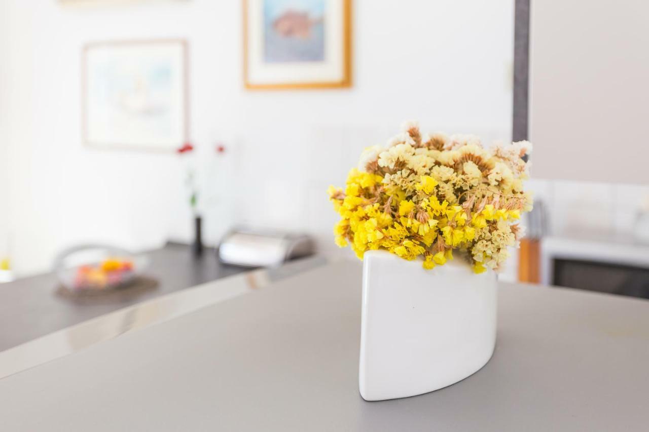 Apartments Meri تروغير المظهر الخارجي الصورة